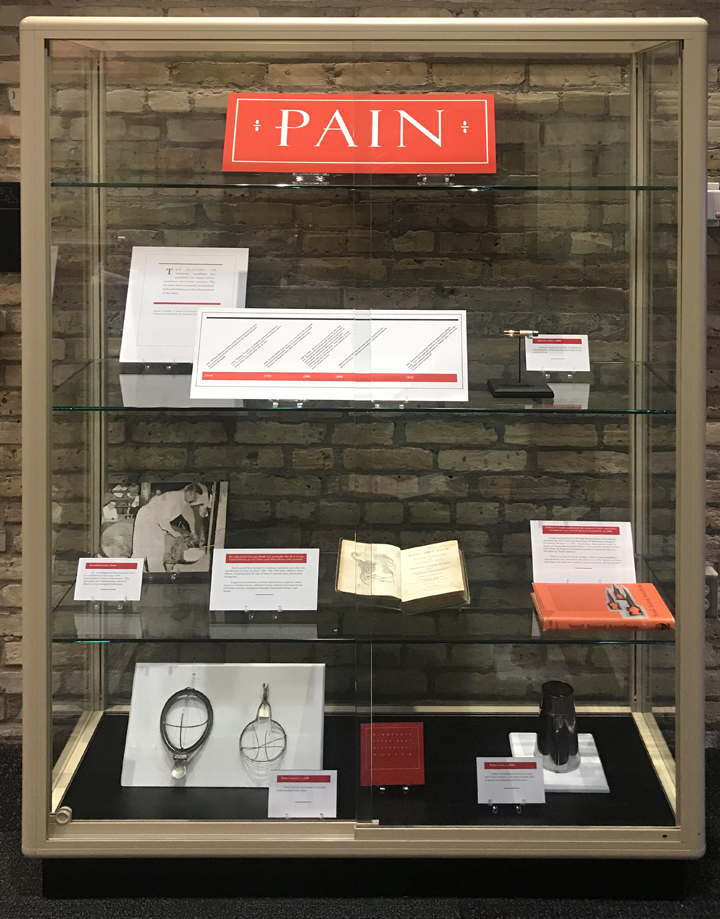 Pain exhibit display 