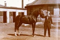 Reynolds’ horse, Lucille, posed with the University of Minnesota’s round room in the background.  The round room, lit with an overhead skylight, was a part of the 