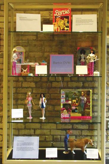Barbie, DVM exhibit display